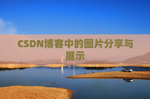 CSDN博客中的图片分享与展示